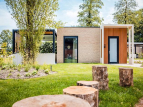 Beautiful holiday home in Voorthuizen
